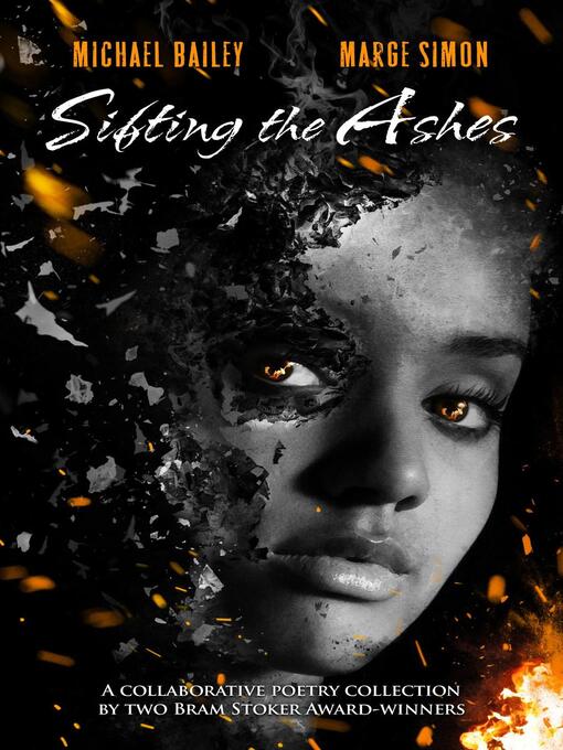 Cover image for Sifting the Ashes